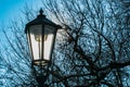 Historical street lamp made of metal Royalty Free Stock Photo