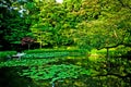 Zen Japanese magnificent garden at Heian Palace Kyoto Royalty Free Stock Photo