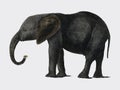 The History of the Earth and Animated Nature 1848 by Oliver Goldsmith 1728-1774, a portrait of a dark grey elephant. Digitally