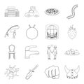 History, fishing, furniture and other web icon in outline style.sports, medicine, travel icons in set collection.