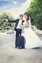 Hitchhiking in a honeymoon, tinted Royalty Free Stock Photo