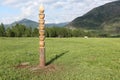 Hitching post standing on a mountain pasture Royalty Free Stock Photo