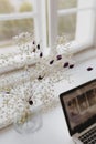 Hite gypsophila flowers by the window