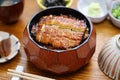 Hitsumabushi is a Japanese Nagoya rice dish decorated with grilled Unagi eel at the top. The eel is served in smaller pieces that