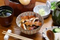Hitsumabushi is a Japanese Nagoya rice dish decorated with grilled Unagi eel at the top. The eel is served in smaller pieces that