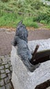 Hitzacker & x28;Elbe& x29;, Germany: Bronze dwarf. The small figurines in the streets of Hitzacker & x28;Elbe& x29; old town. Royalty Free Stock Photo