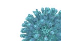 HIV AIDS virus