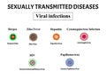 HIV, herpes, papillomavirus, AIDS, hepatitis, cytomegalovirus, Zika virus. Set of viral infections. Sexually transmitted