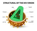 HIV Virion