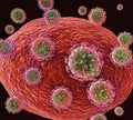 HIV Viruses Attacking Cell