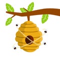 Hive. House of wasp and insect on tree. Element of nature and forests