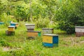 hive swarm, to make increase from colony, make up a nucleus, rearing, rotating brood, to run a bee-yard