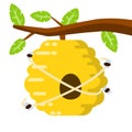 Hive. Yellow beehive. House of wasp and insect on tree. Element of nature and forests