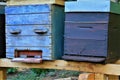 Hives for bees in the forest, Luxembourg