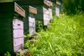 Hives in the garden Royalty Free Stock Photo