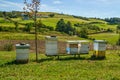 Hives in the meadow Royalty Free Stock Photo