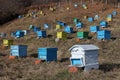 Hives at meadow in mountain area