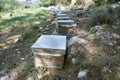 Hives and other beekeeping appliance for breeding bees