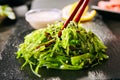 Hiyashi Wakame Chuka, Kelp Salad or Seaweed Food Salat
