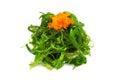 Hiyashi wakame Royalty Free Stock Photo