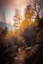 Hiking trail in the Rocky Mountains National Park, Colorado Royalty Free Stock Photo