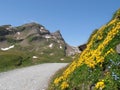 Hkingpath to Bachalpsee Switzerland Royalty Free Stock Photo