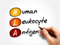 HLA - Human Leukocyte Antigen acronym