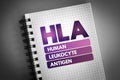 HLA - Human Leukocyte Antigen acronym