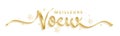 MEILLEURS VOEUX gold brush calligraphy banner - BEST WISHES in the NEW YEAR in French Royalty Free Stock Photo