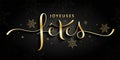 JOYEUSES FETES metallic gold brush calligraphy banner card. HAPPY HOLIDAYS in French. Royalty Free Stock Photo