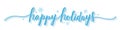 HAPPY HOLIDAYS blue brush calligraphy banner with snowflakes