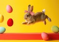 Hliday easter rabbit with bow jumping and decorated easter eggs flying around, isolated on yellow and red background Royalty Free Stock Photo