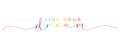 LIVE YOUR DREAM colorful brush calligraphy banner