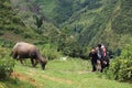 Hmong children walk up a hill at Cat Cat village