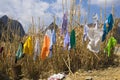 Hmong clothes drying on trees under sunlight by a mountainous road