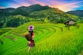 Hmong ethnic minority standing on rice terraces in Mu Cang Chai, Yen Bai, Vietnam Royalty Free Stock Photo