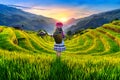 Hmong ethnic minority women standing on rice terraces in Mu Cang Chai, Yen Bai, Vietnam Royalty Free Stock Photo