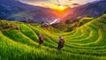 Hmong ethnic minority women walking on rice terraces in Mu Cang Chai, Yen Bai, Vietnam