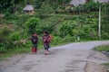 Hmong girls carry grass to home