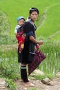 Hmong people in Vietnam