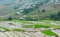 Hmong people working on the field in Lai Chau, Vietnam