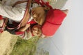 Hmong red Sapa woman and baby