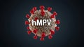 Hmpv virus structure with red spike proteins on dark background. hMPV, Human metapneumovirus Royalty Free Stock Photo