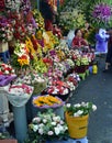 Ho Chi Minh City Flower market in Early Morning