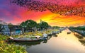 Flower boats full of flowers parked along canal wharf in sunset Royalty Free Stock Photo