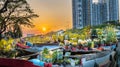 Flower boats full of flowers parked along canal wharf in sunset Royalty Free Stock Photo