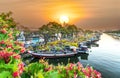 Flower boats full of flowers parked along canal wharf in sunset Royalty Free Stock Photo