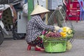 HO CHI MINH CITY,VIETNAM-NOV 4TH: A street vendor selling fruit Royalty Free Stock Photo