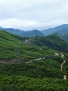 Ho Chi Minh trail, forest, mountain, terrain