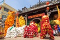 Ho Chi Minh, Vietnam - February 18, 2015 : Lion dancing to celebrate Lunar New Year at Thien Hau Pagoda Royalty Free Stock Photo